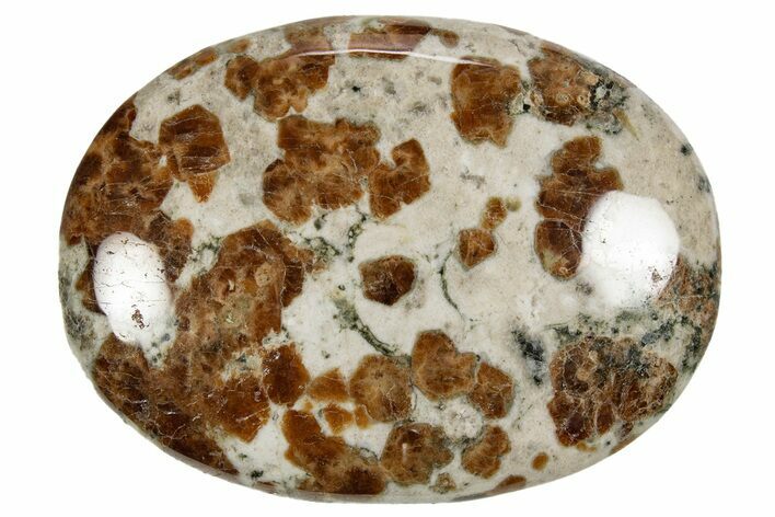 Polished Garnet In Wollastonite Palm Stone - Namibia #343951